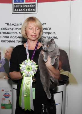 �������� ����� '������� ���-�����' 30 ������-1 ������� 2013., WCF-����� 3097